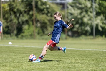 Bild 165 - wBJ Hamburger SV - Hertha BSC : Ergebnis: 5:2